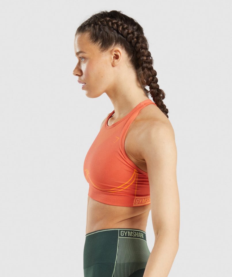 Women's Gymshark Apex Seamless Sports Bra Orange | NZ 3OTWQC